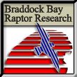Click here to Visit Braddock Bay Raptor Research
